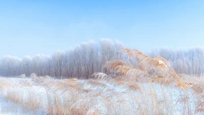 内蒙古冬季树挂雪景